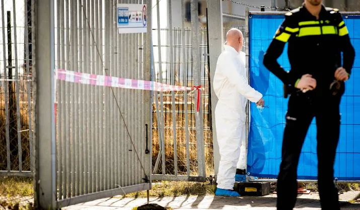 shurandy s wilde nieuwe opdracht aannemen