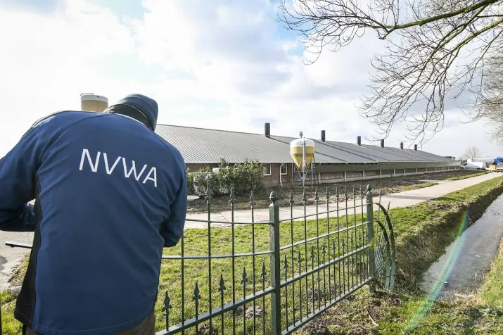 slachthuis in vogelgriepgebied kan weer open