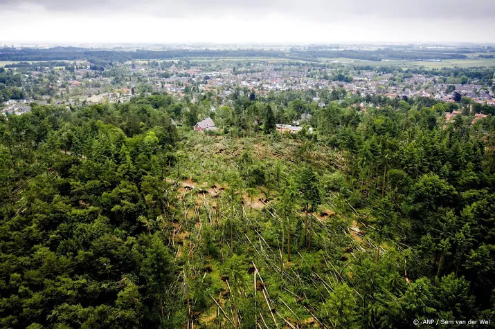 staatsbosbeheer beraadt zich over toekomst lombokbos leersum