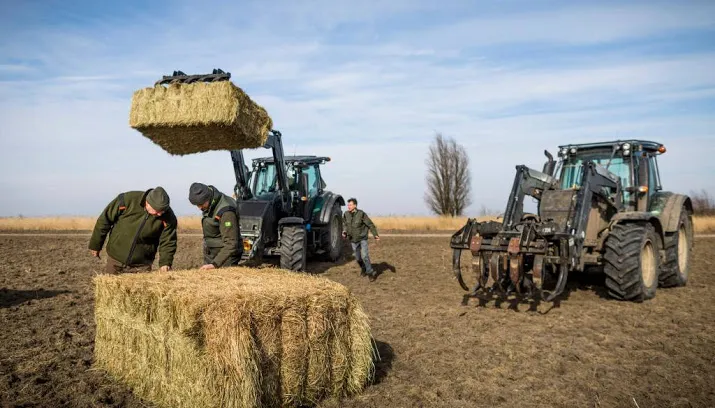staatsbosbeheer blijft grazers bijvoeren