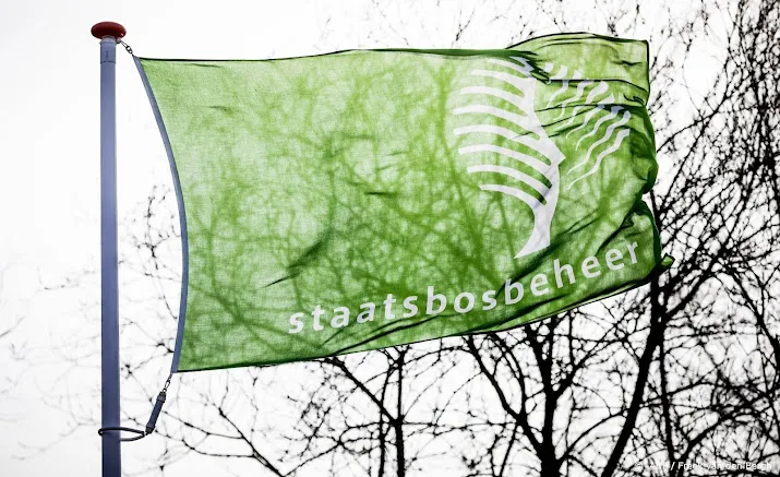 staatsbosbeheer gaat kritiek op oogsten hout tegen