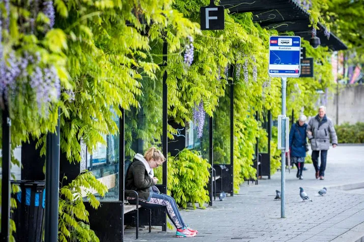 staking streekvervoer treft haaglanden