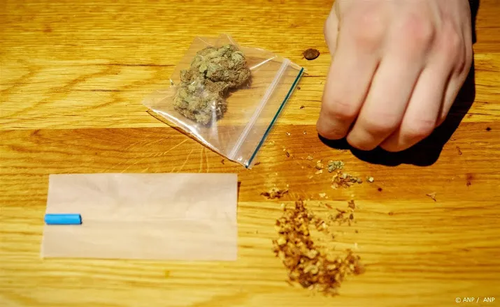 start wietexperiment betekent oogsttijd voor de cannabisteler