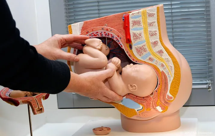 steeds meer donorkinderen willen weten wie hun ouders zijn