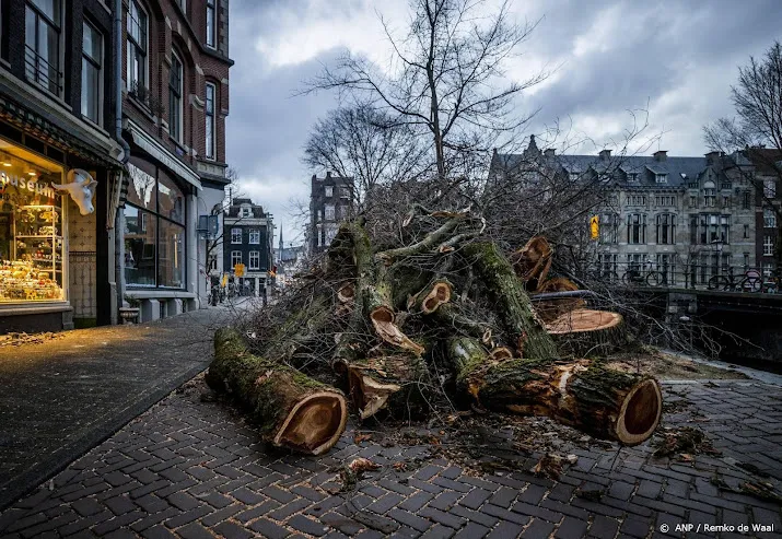 steeds meer meldingen stormschade bij unive al voor 9 miljoen