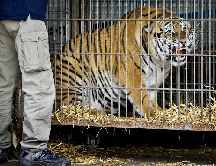 stichting aap haalt wilde dieren uit circussen portugal