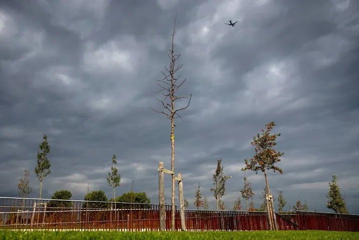 stichting pakt bomensterfte mh17 monument aan