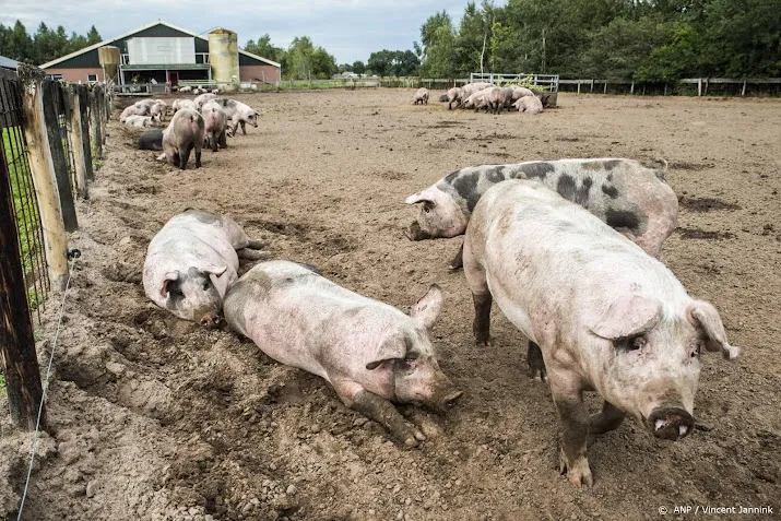 stikstofaanpak wordt komende jaren veel duurder en ingrijpender