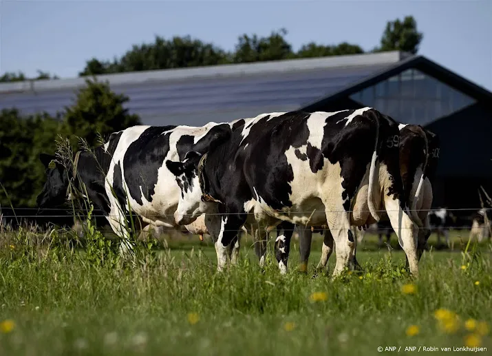 stikstofoverschot in landbouw schommelt in 2022 stijging te zien