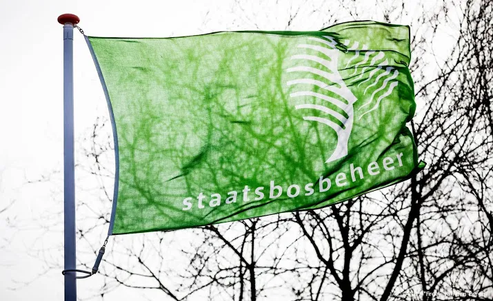 stormschade aan bossen valt mee