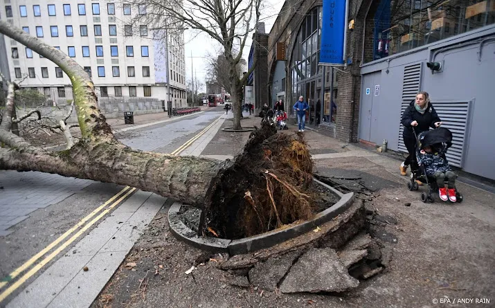 stormschademeldingen bij unive al goed voor 35 miljoen euro