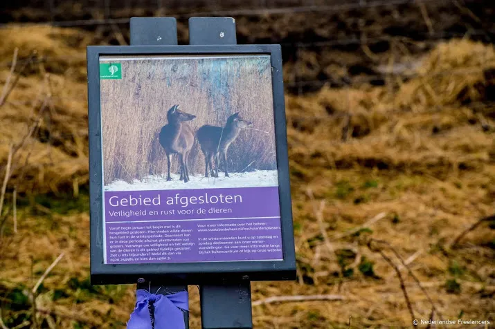 streep door afschot herten oostvaardersplassen