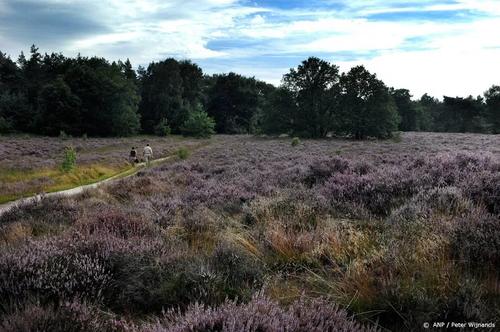 strenger toezicht op toeristen om wolf