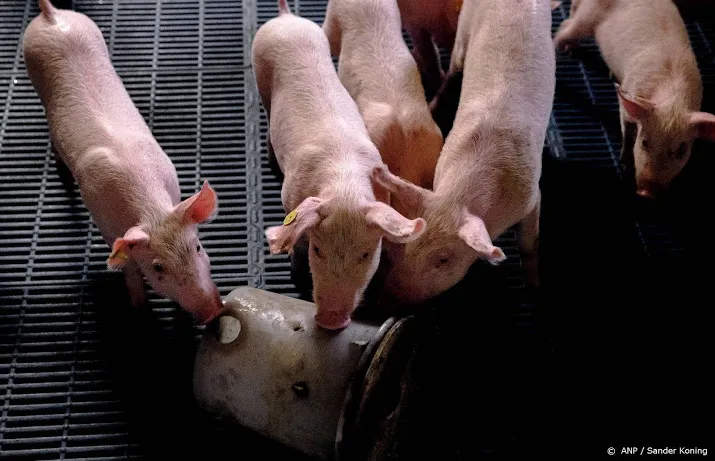 strengere controle speelmogelijkheden varkens