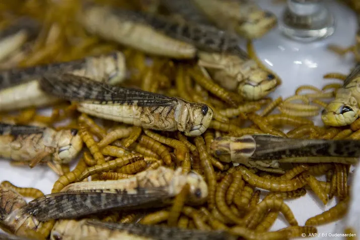 studie mensen eten eerder insecten als ze milieuvoordelen kennen