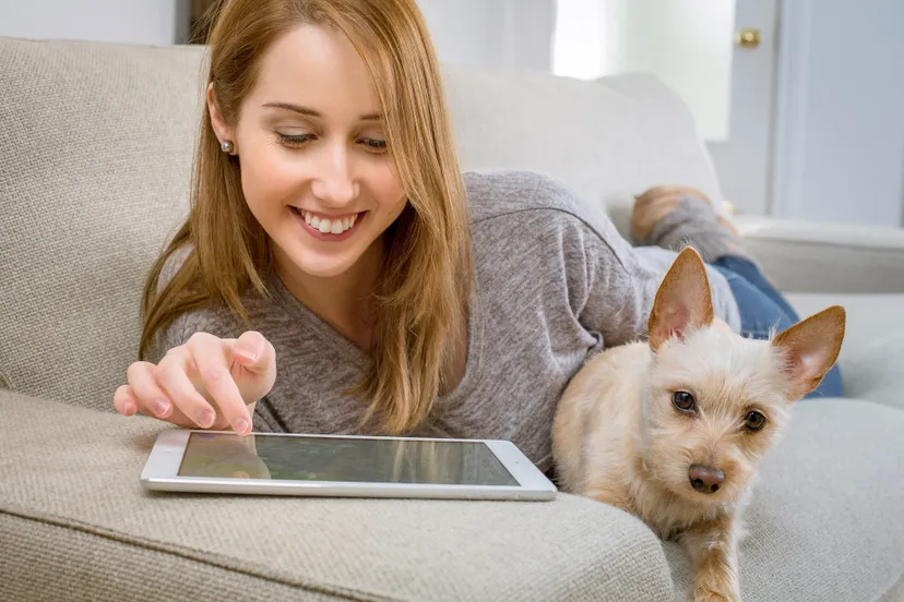 tablet vrouw hond hq pixabay