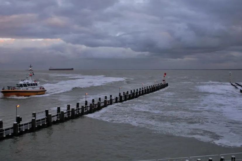 tanja van eenennaam vlissingen