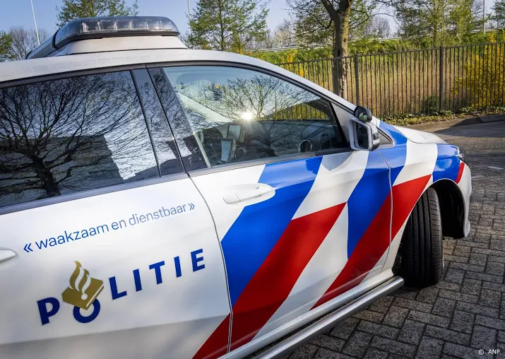te hard met alcohol op en drie jonge kinderen op achterbank