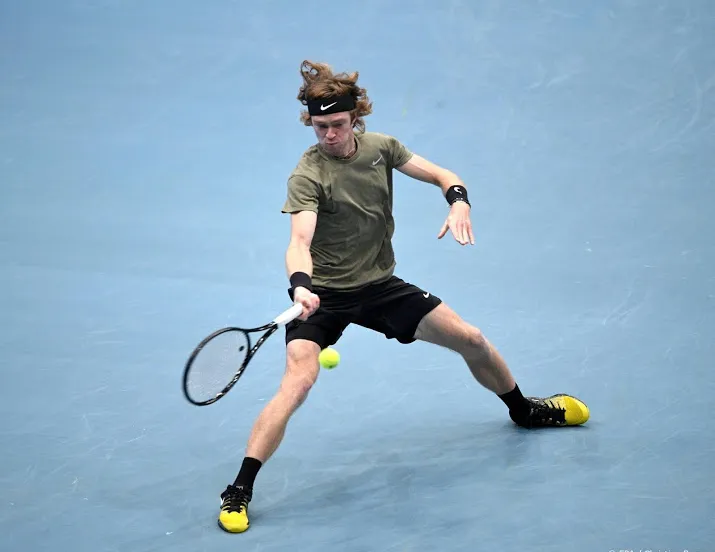 tennisser roeblev naar finale in wenen na opgave anderson