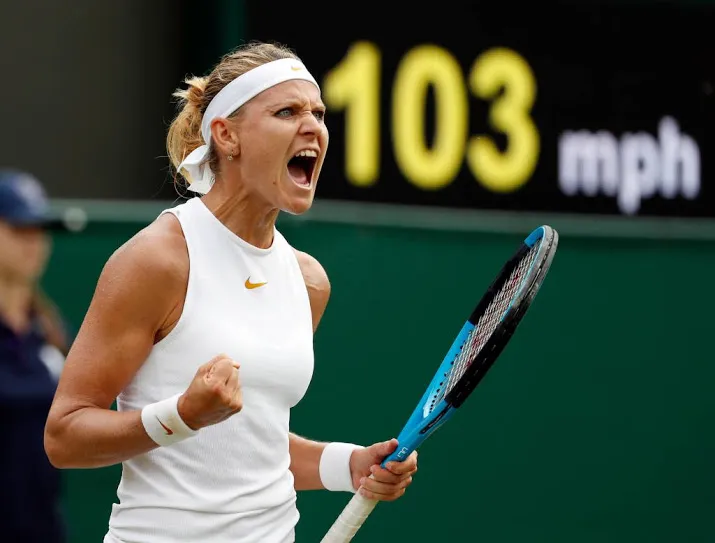 tennisster safarova zwaait begin 2019 af