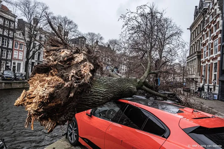 tientallen meldingen van stormschade