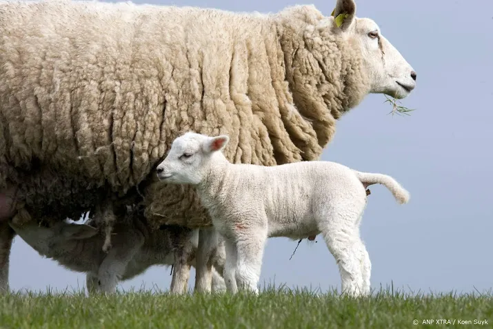 tientallen zoogdieren kunnen coronavirus oplopen