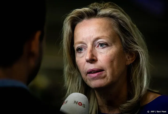 tijdelijke vervanging voor minister ollongren
