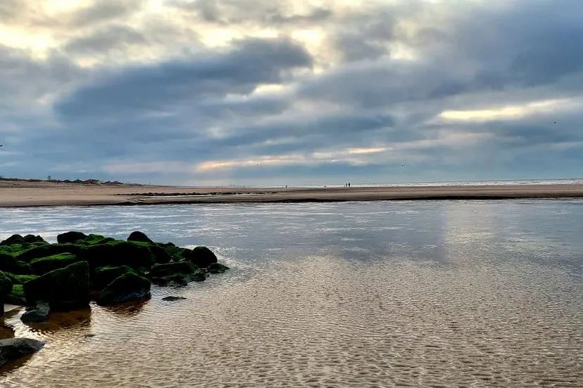 tineke bos brink katwijk aan zee