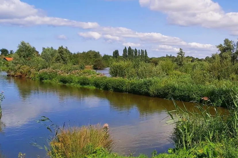 tineke bos brink oegstgeest