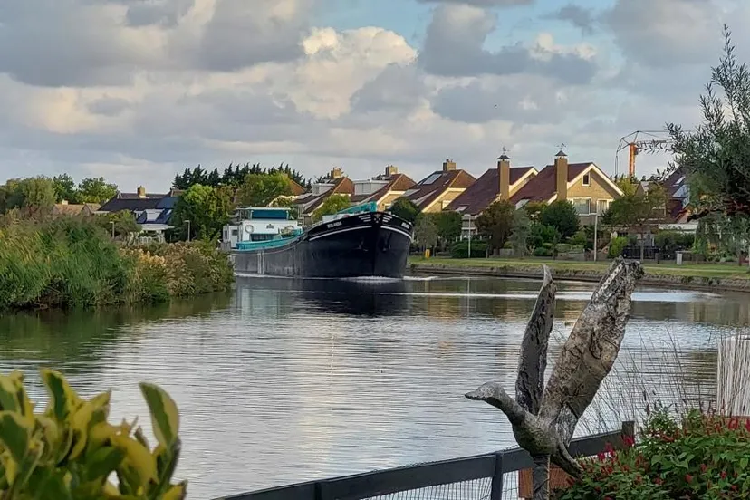 tineke bos brink rijnsburg