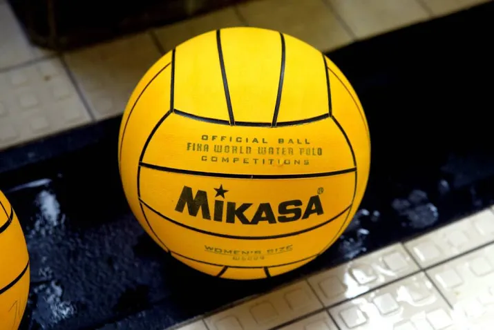 titel voor waterpolosters polar bears