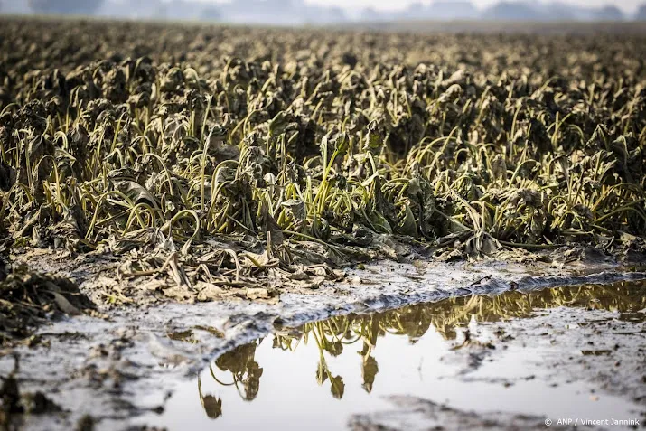 toch compensatie voor alle boeren na waterschade limburg