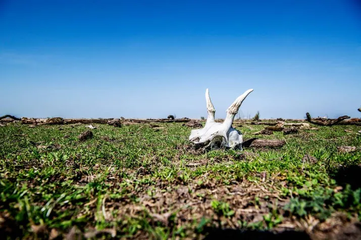 toekomst oostvaardersplassen stuit op hobbels