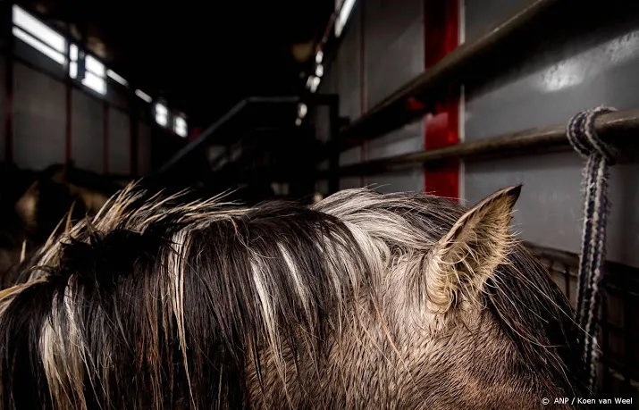 toezicht op konikpaarden zaak nvwa