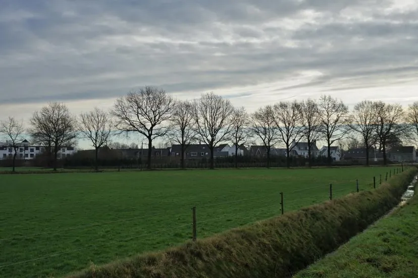 toon boons berkel enschot 1