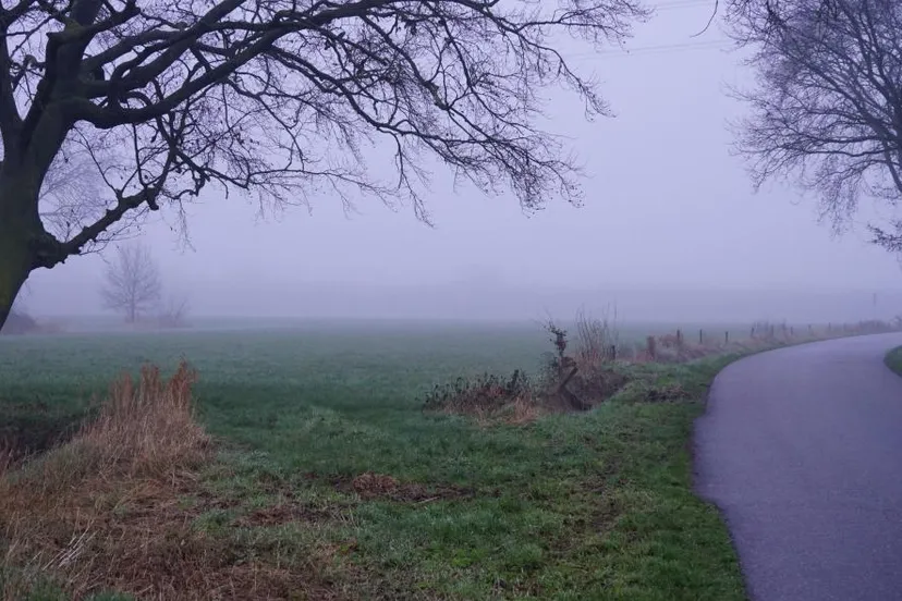toon boons berkel enschot