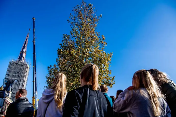 torenspits terug op laurentiuskerk in weesp