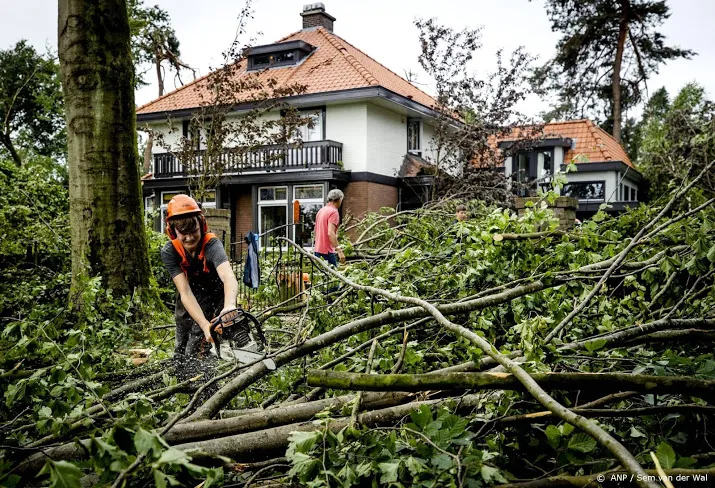 tot en met zondag 800 meldingen over stormschade bij verzekeraar
