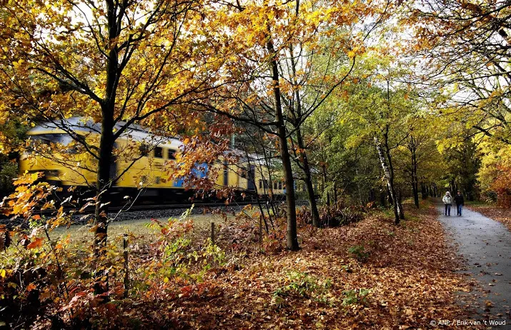 trein rijdt tegen boom reizigers geevacueerd