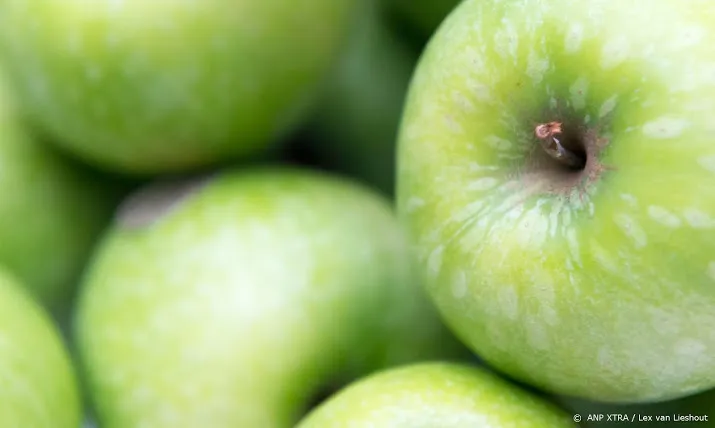 treinverbinding voor fruit tegen co2 uitstoot