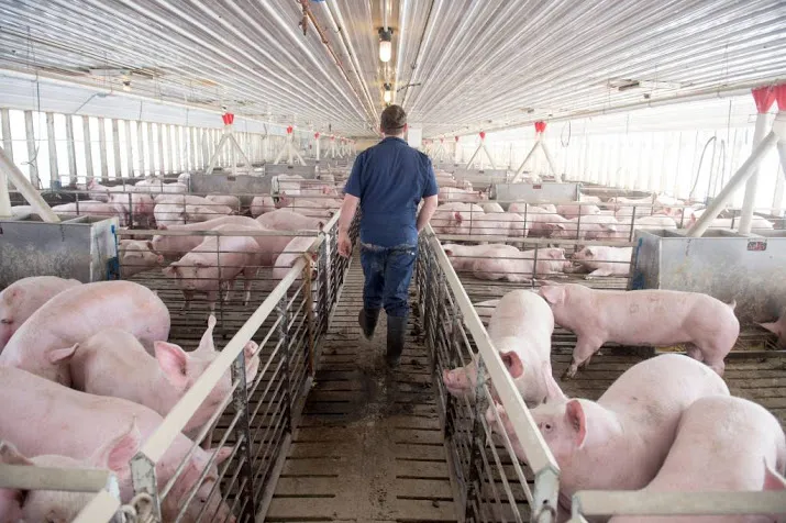 trump stelt miljarden beschikbaar aan boeren