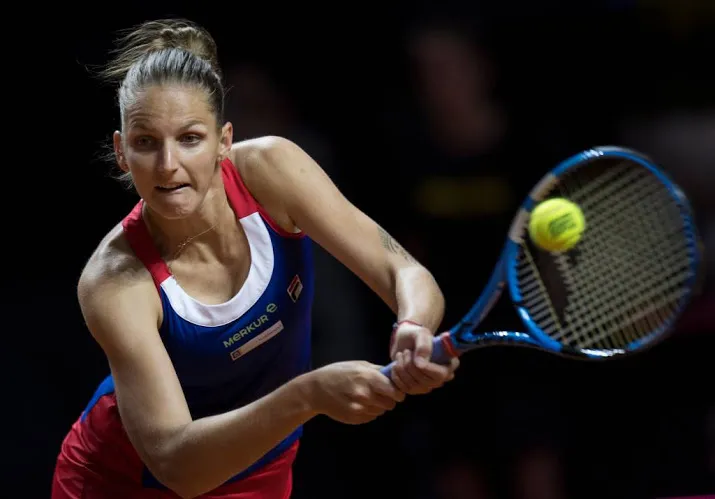 tsjechie hard op weg naar finale fed cup