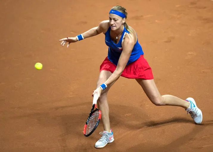 tsjechie in finale fed cup