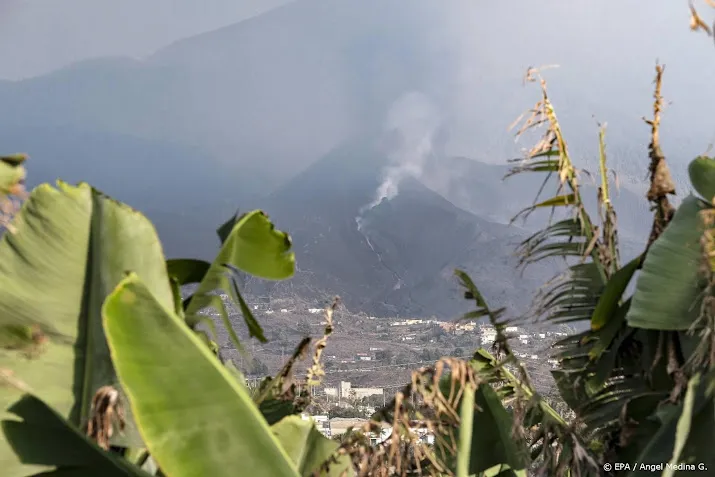 tui haalt laatste 150 nederlanders terug van la palma