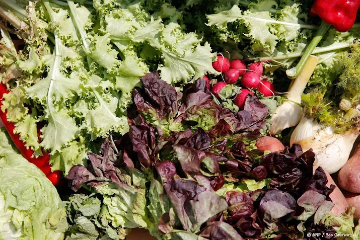 tuinder hoeft geen belasting te betalen over gratis lunch