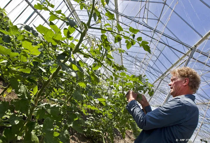 tuinders openen deuren van hun bedrijven voor kom in de kas