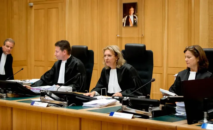 twaalf jaar cel in zaak nicole van den hurk