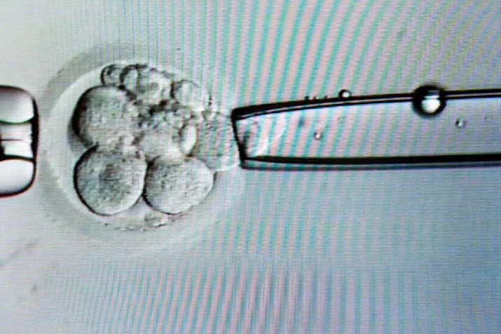 uiterste ivf leeftijd moet omlaag