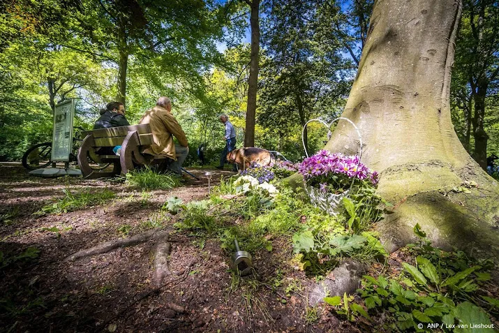 uitspraak hoge raad in zaak drievoudig moordverdachte thijs h