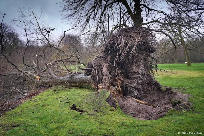 uniek zes dagen met storm op rij